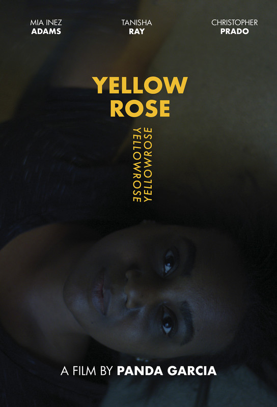 Yellow Rose
