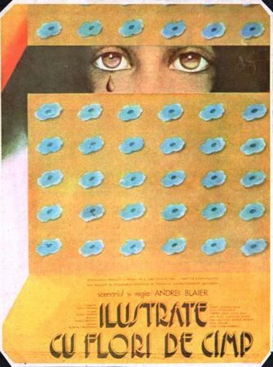 Ilustrate cu flori de camp