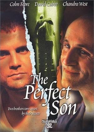 A Perfect Son