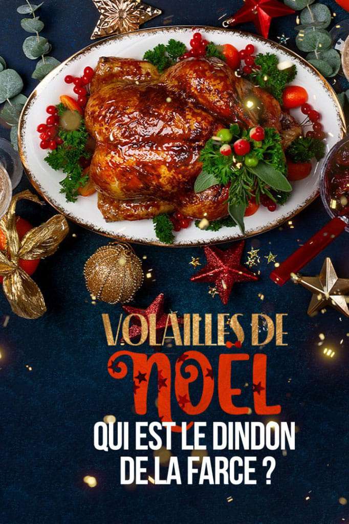 Volailles de Noel: qui est le dindon de la farce?
