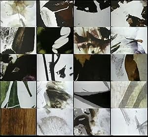 Mothlight