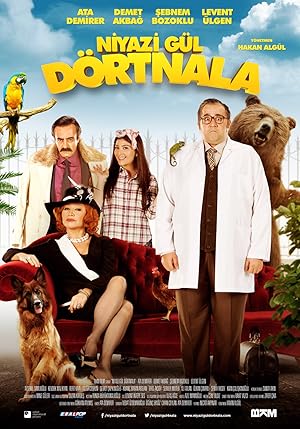Niyazi Gul: Dortnala