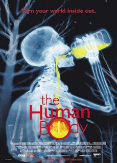 The Human Body
