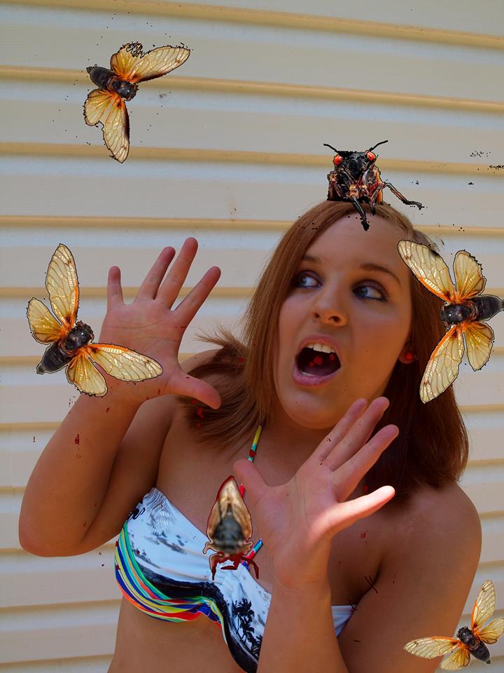 Invasion of the Killer Cicadas