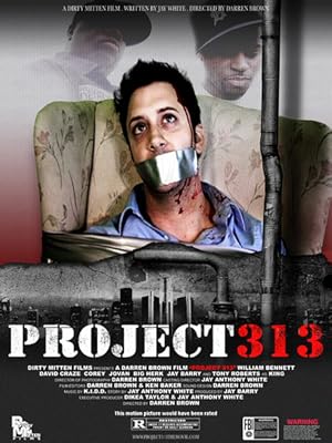 Project 313