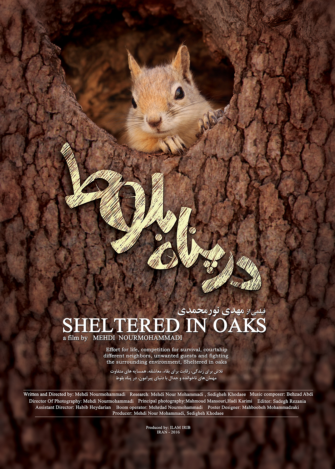 Sheltered in Oak