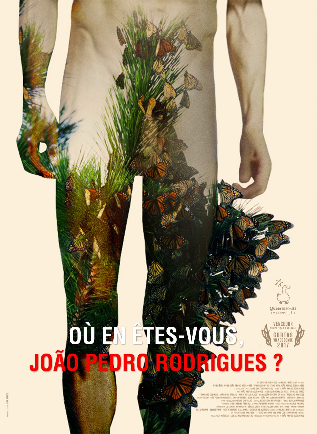 Where Do You Stand Now, Joao Pedro Rodrigues?
