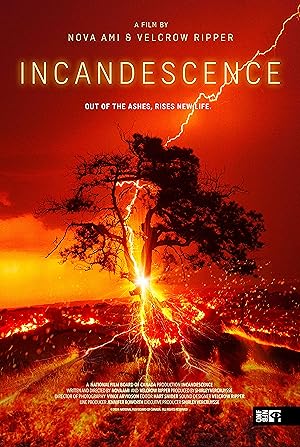 Incandescence