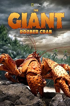 The Giant Robber Crab
