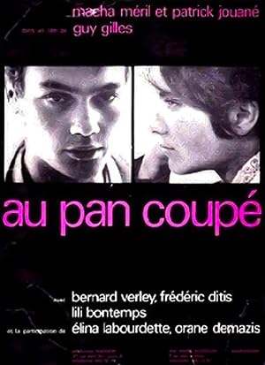 Au pan coupe