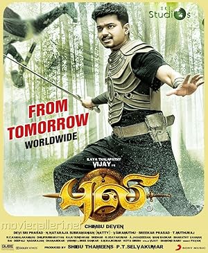 Puli