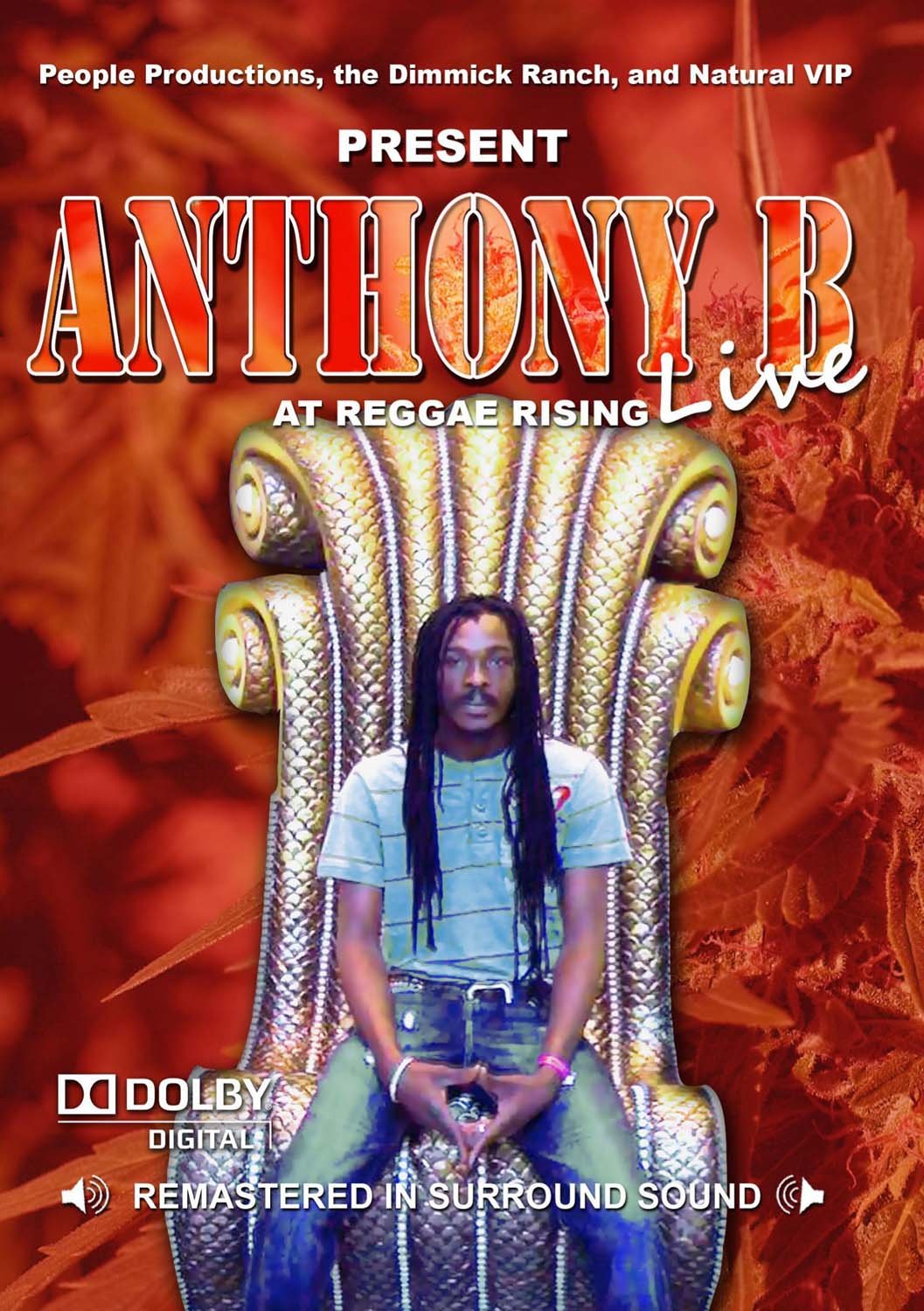 Anthony B Live at Reggae Rising