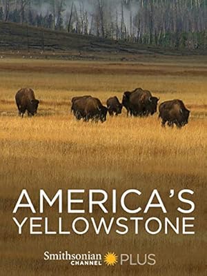 America's Yellowstone