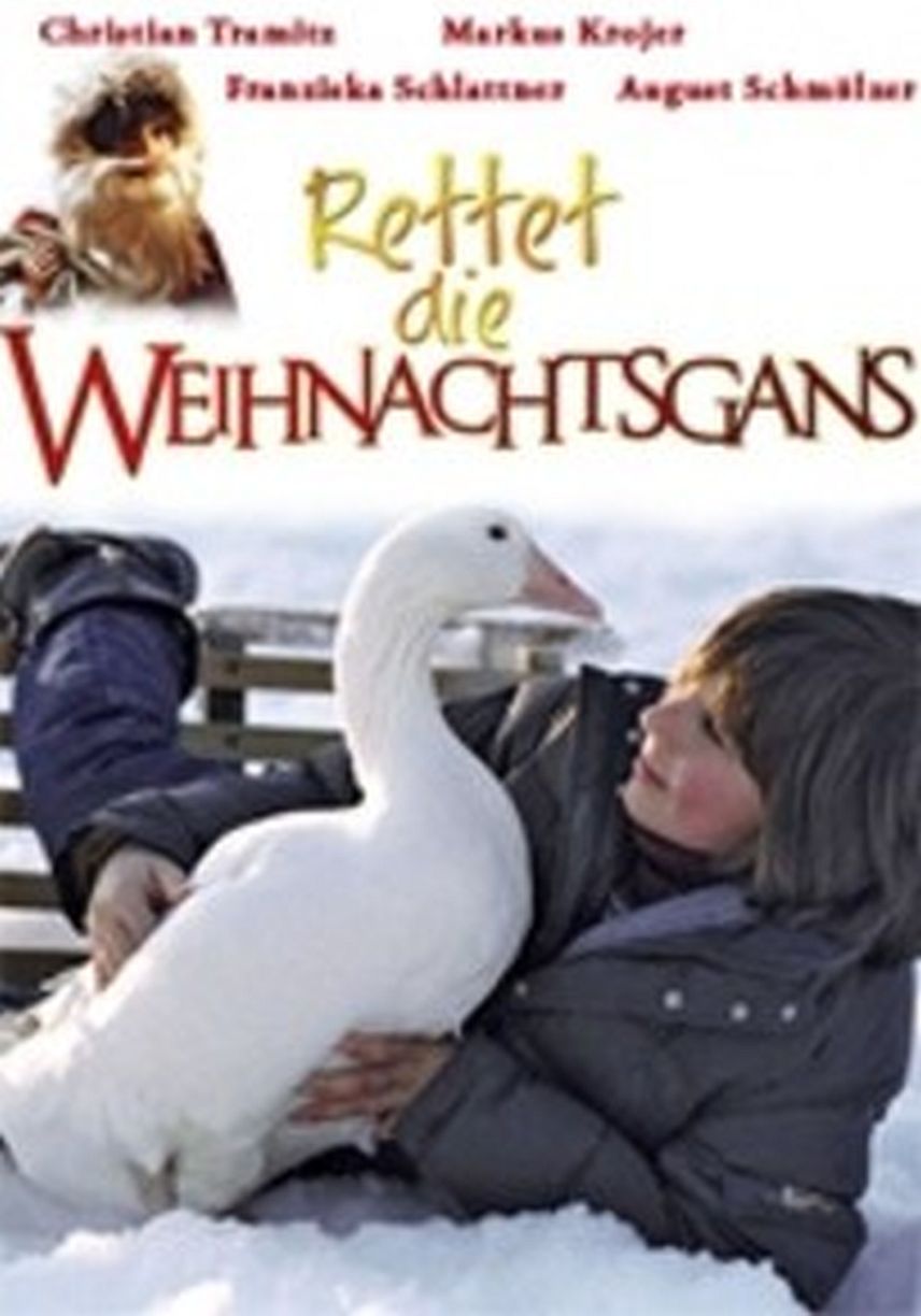 Saving the Christmas Goose
