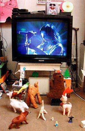Bjork: Live at Cambridge