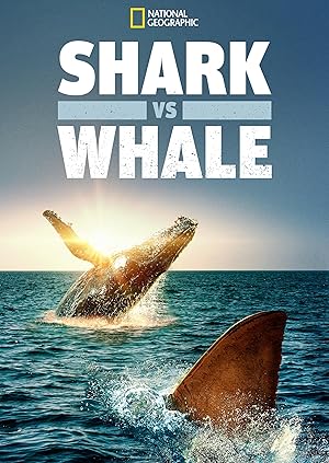 Shark vs. Whale