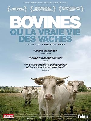 A Cow's Life