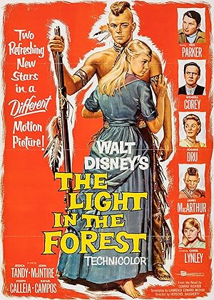The Light in the Forest