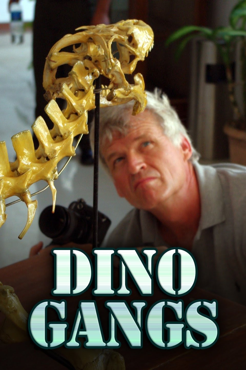 Dino Gangs