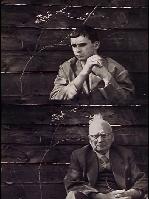 The Filmmaker's Holiday