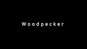 Woodpecker