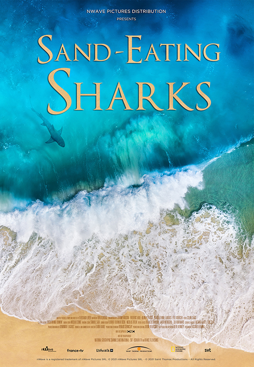The Sand-Eating Shark