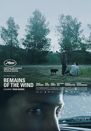 Remains of the Wind