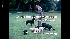 Die Hunde der Machtigen - und eine Katze