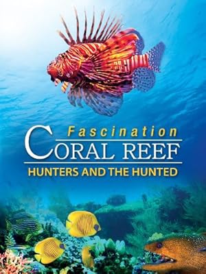 Fascination Coral Reef 3D: Hunters & the Hunted