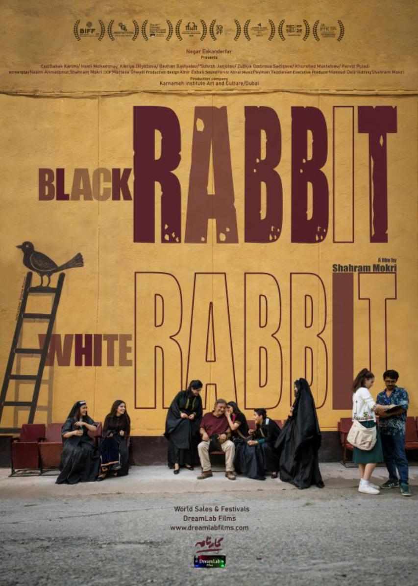 Black Rabbit, White Rabbit