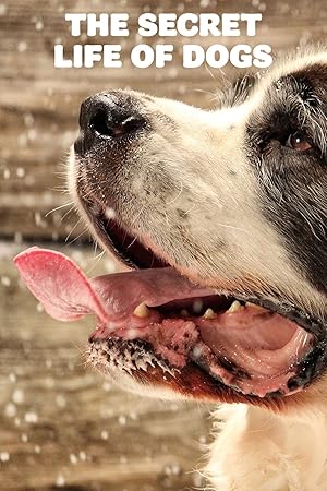 Secret Life of Dogs