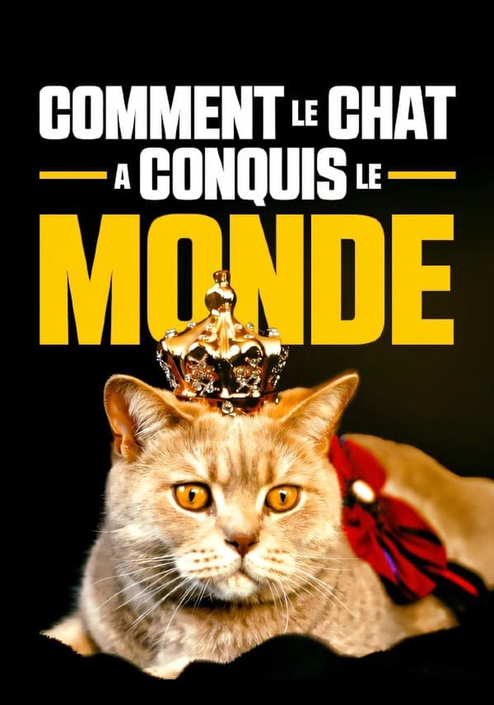Comment le chat a conquis le monde