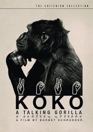 Koko, a Talking Gorilla