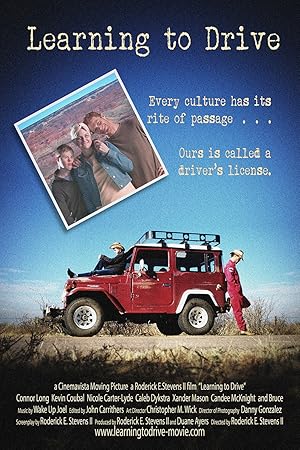Learning to Drive