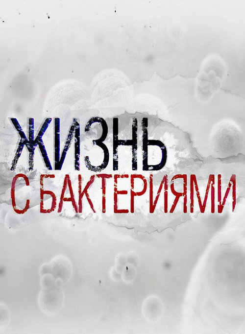 Life with bacteria