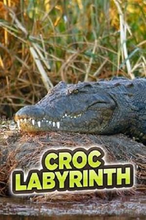 Croc Labyrinth