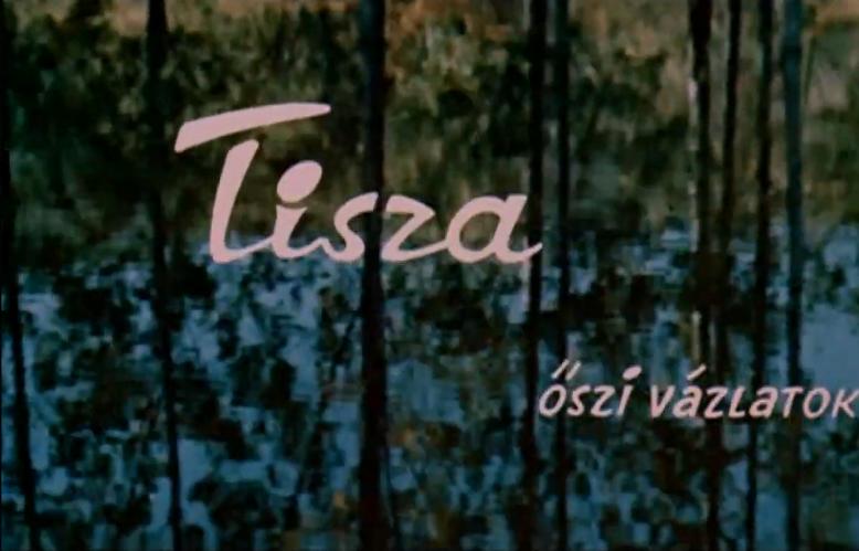 Tisza-oszi vazlatok