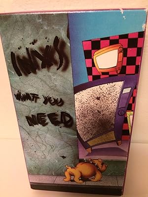 INXS: What You Need
