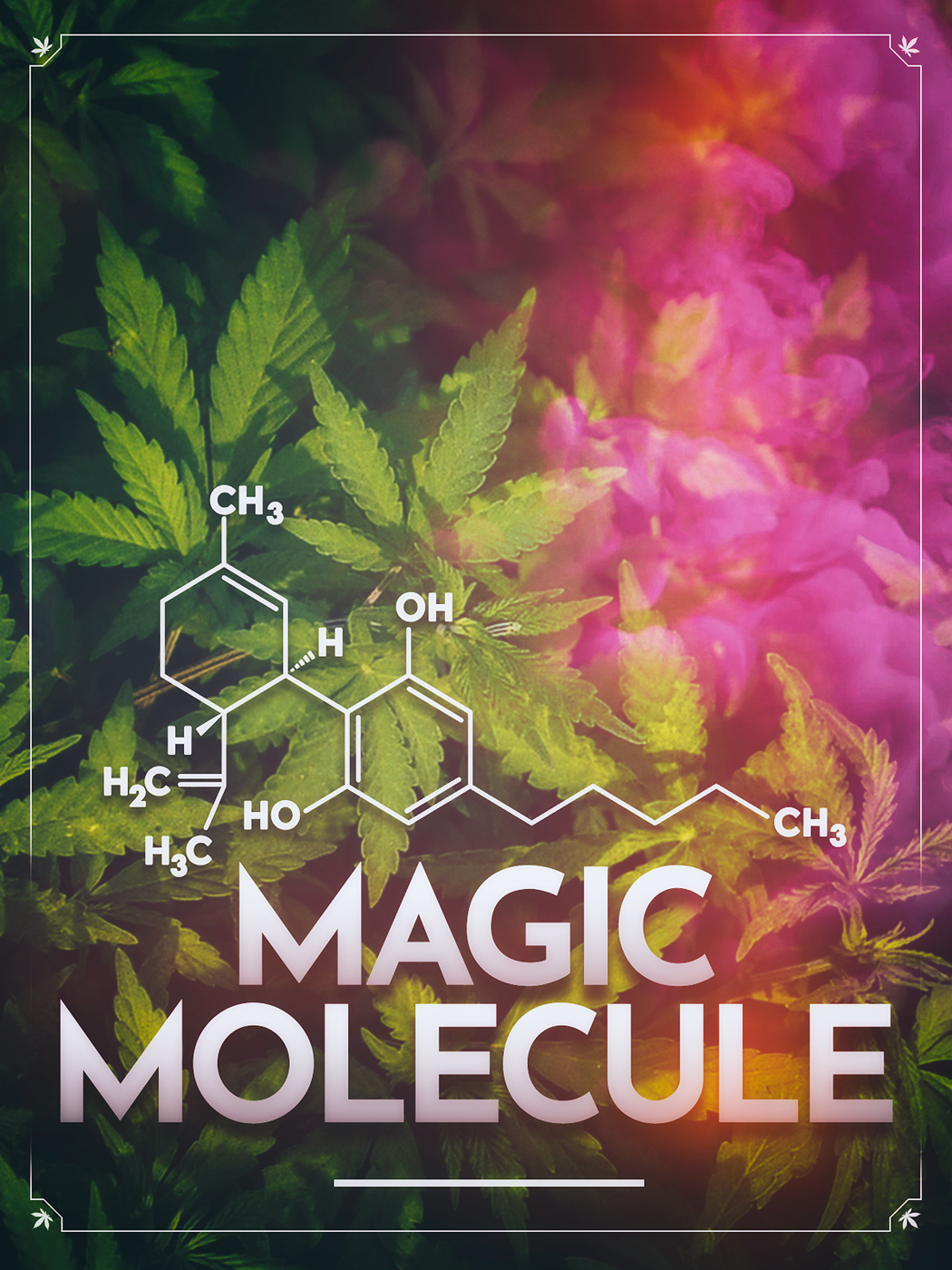 Magic Molecule