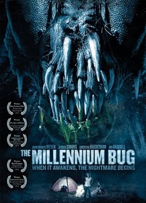 The Millennium Bug