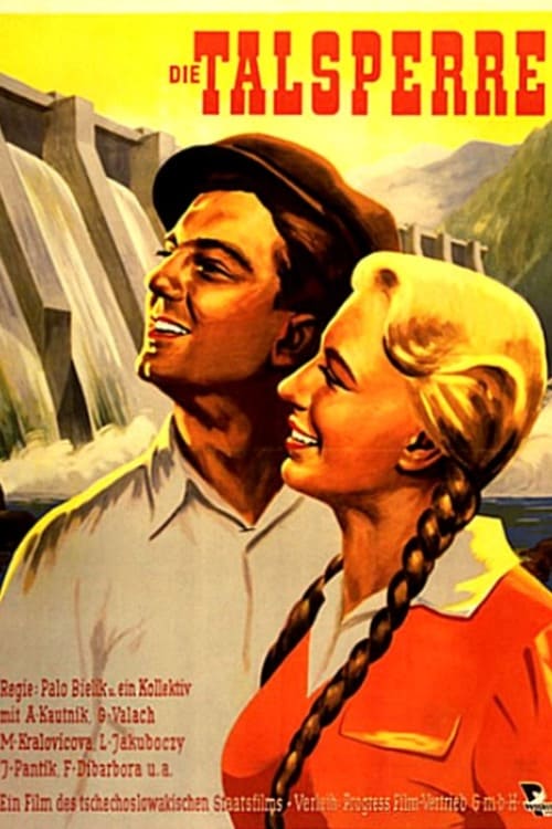 The Dam