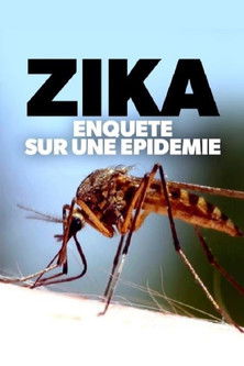 Zika, enquete sur une epidemie
