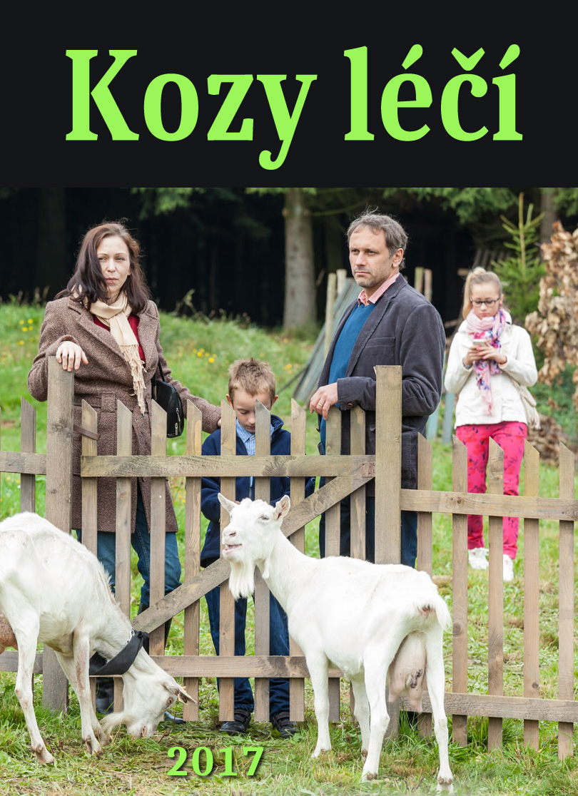 Kozy leci