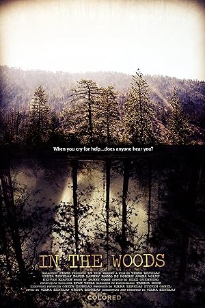In the Woods