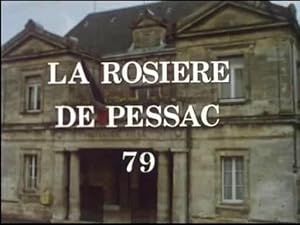 The Virgin of Pessac