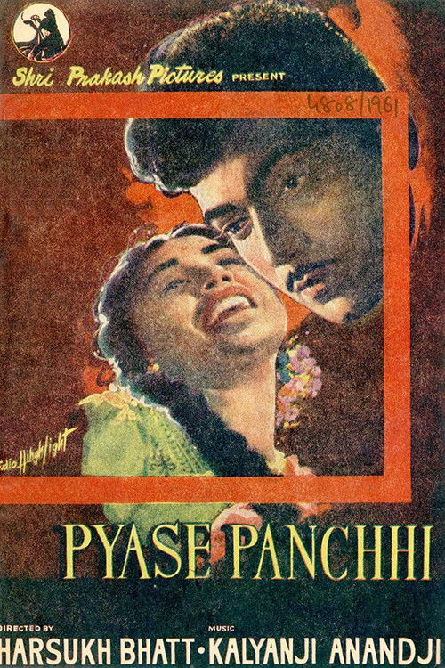 Payaase Panchhi