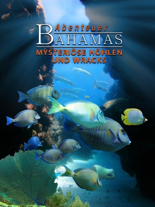Abenteuer Bahamas 3D - Mysteriose Hohlen und Wracks