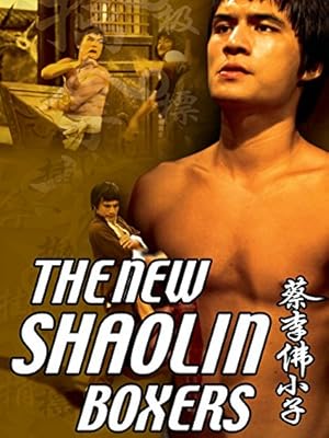 The New Shaolin Boxers