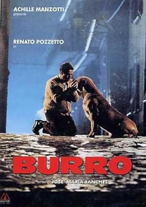 Burro