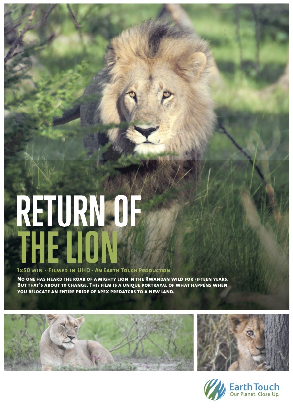 Return of the Lion